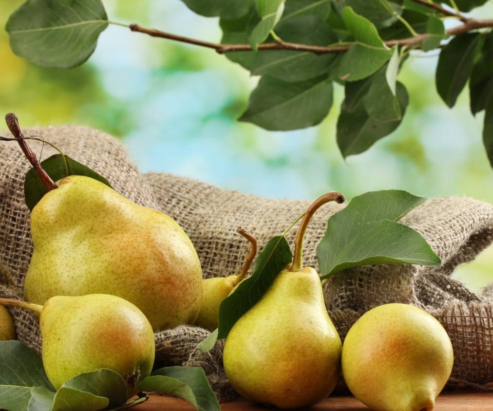 Fondo de pantalla Fresh Pears With Leaves 960x800