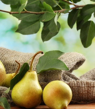 Fresh Pears With Leaves - Obrázkek zdarma pro Nokia Lumia 925