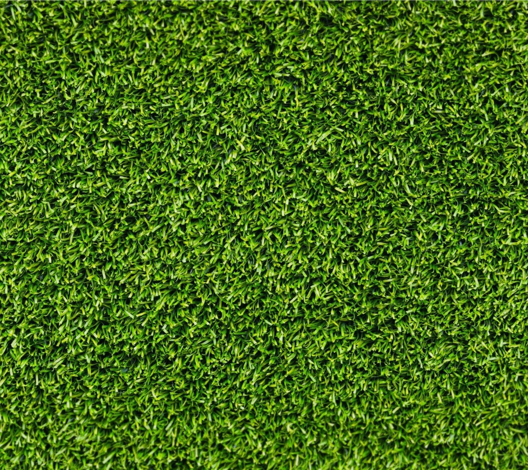 Fondo de pantalla Short Green Grass 1080x960