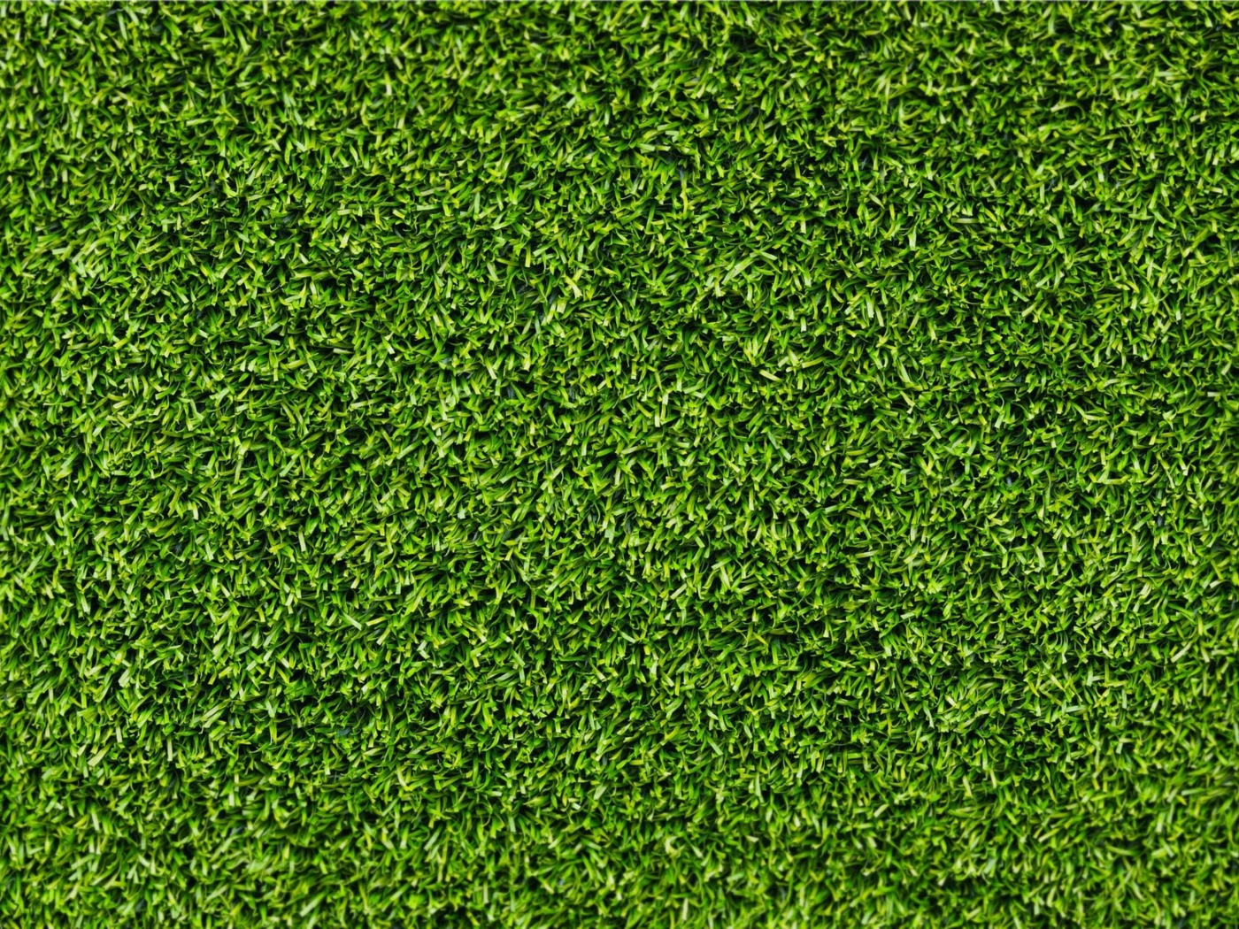 Fondo de pantalla Short Green Grass 1400x1050