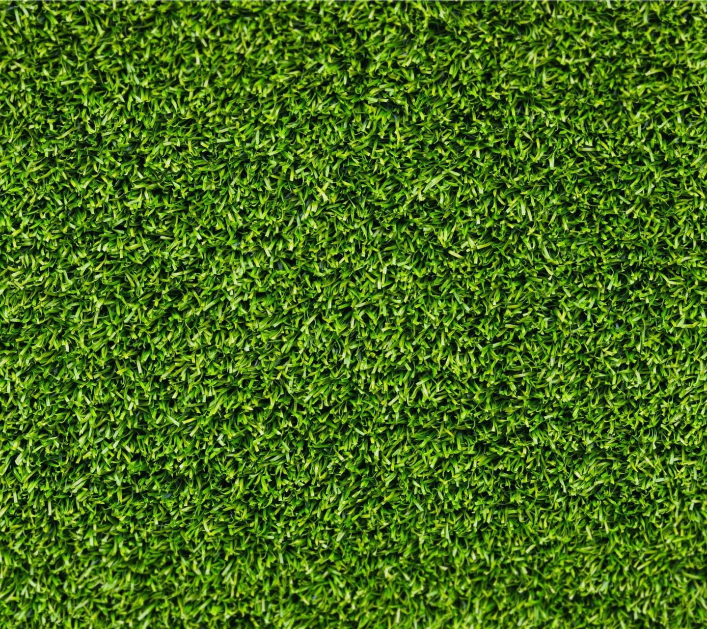 Sfondi Short Green Grass 1440x1280