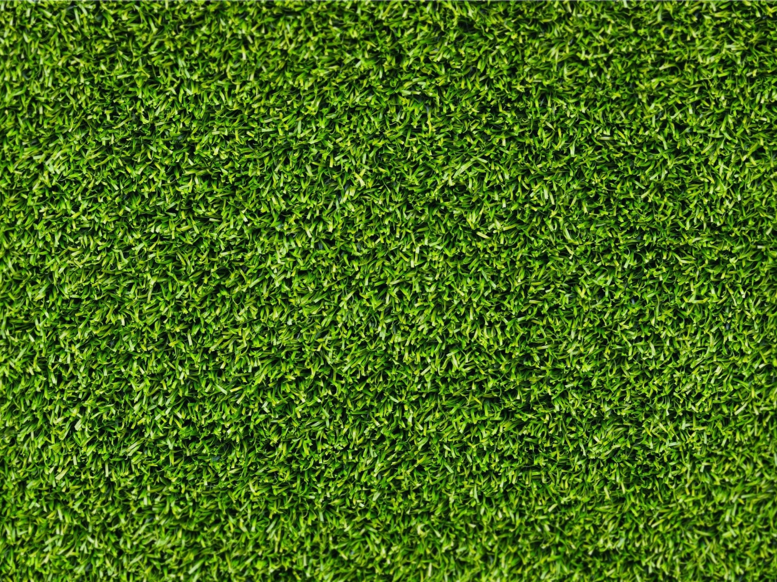 Das Short Green Grass Wallpaper 1600x1200