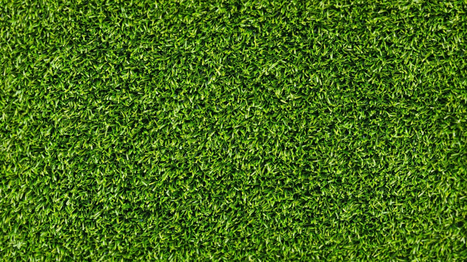 Screenshot №1 pro téma Short Green Grass 1600x900