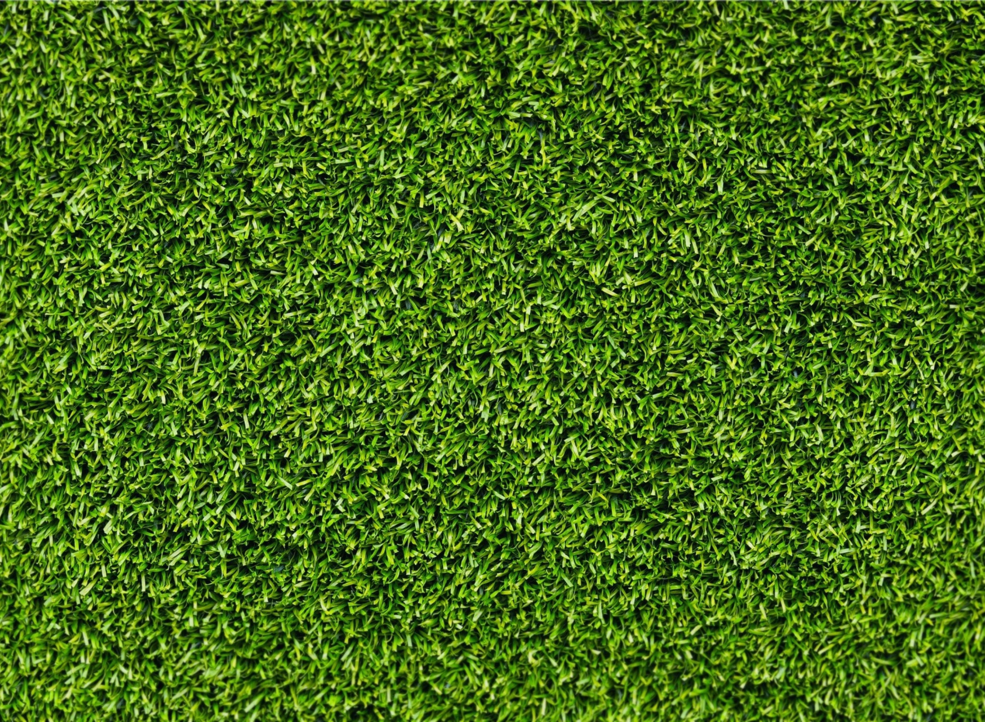 Обои Short Green Grass 1920x1408