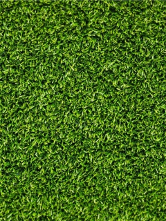 Screenshot №1 pro téma Short Green Grass 240x320