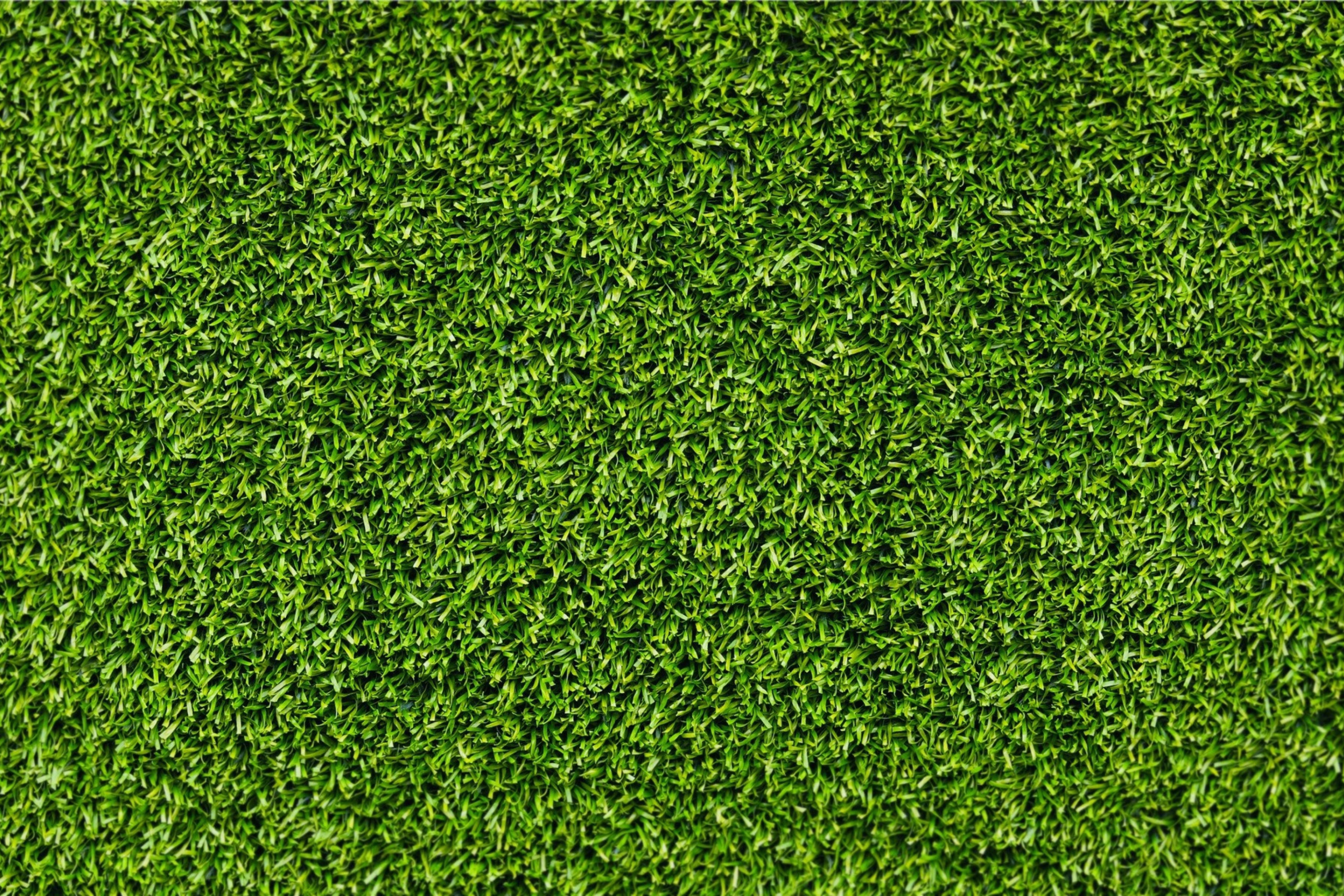 Fondo de pantalla Short Green Grass 2880x1920