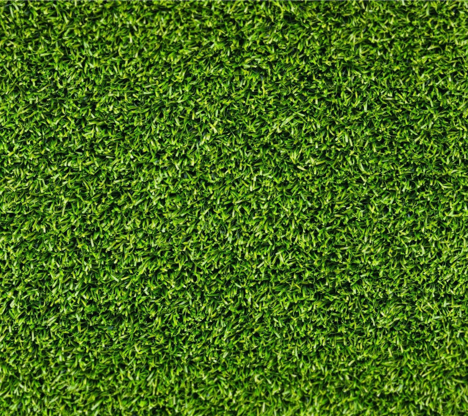 Das Short Green Grass Wallpaper 960x854