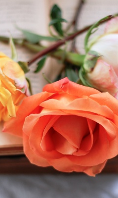 Yellow and Red Roses screenshot #1 240x400