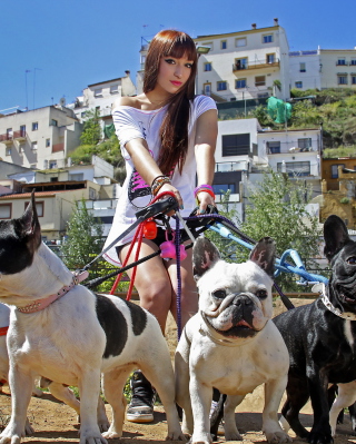 Girl Walking With Bulldogs sfondi gratuiti per 640x1136