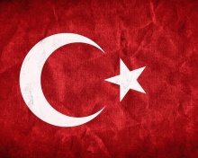 Sfondi Turkey Flag 220x176