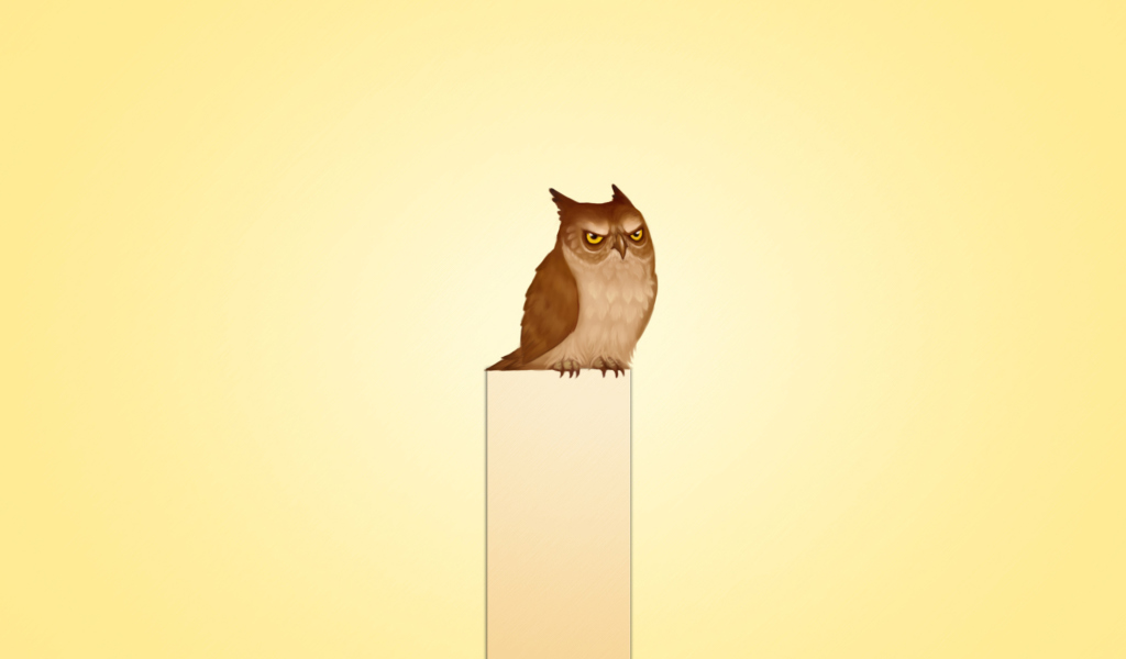 Screenshot №1 pro téma Owl Illustration 1024x600