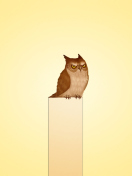 Owl Illustration wallpaper 132x176