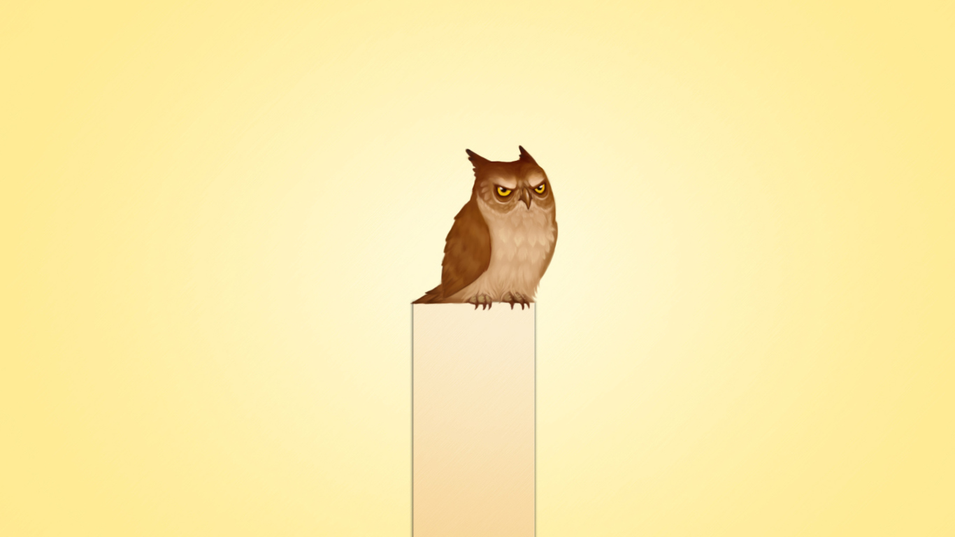 Owl Illustration wallpaper 1366x768