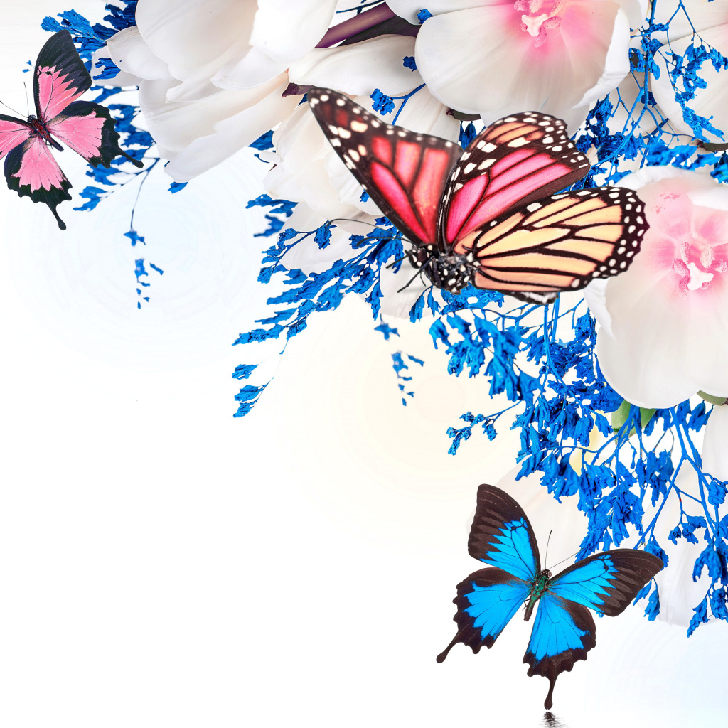 Обои Spring  blossom and butterflies 1024x1024