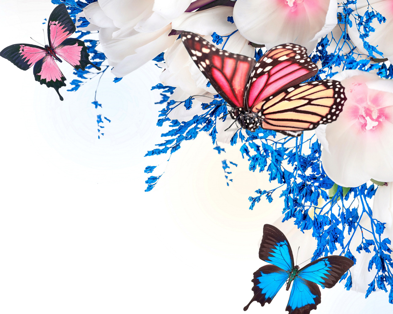 Screenshot №1 pro téma Spring  blossom and butterflies 1280x1024