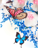 Das Spring  blossom and butterflies Wallpaper 128x160