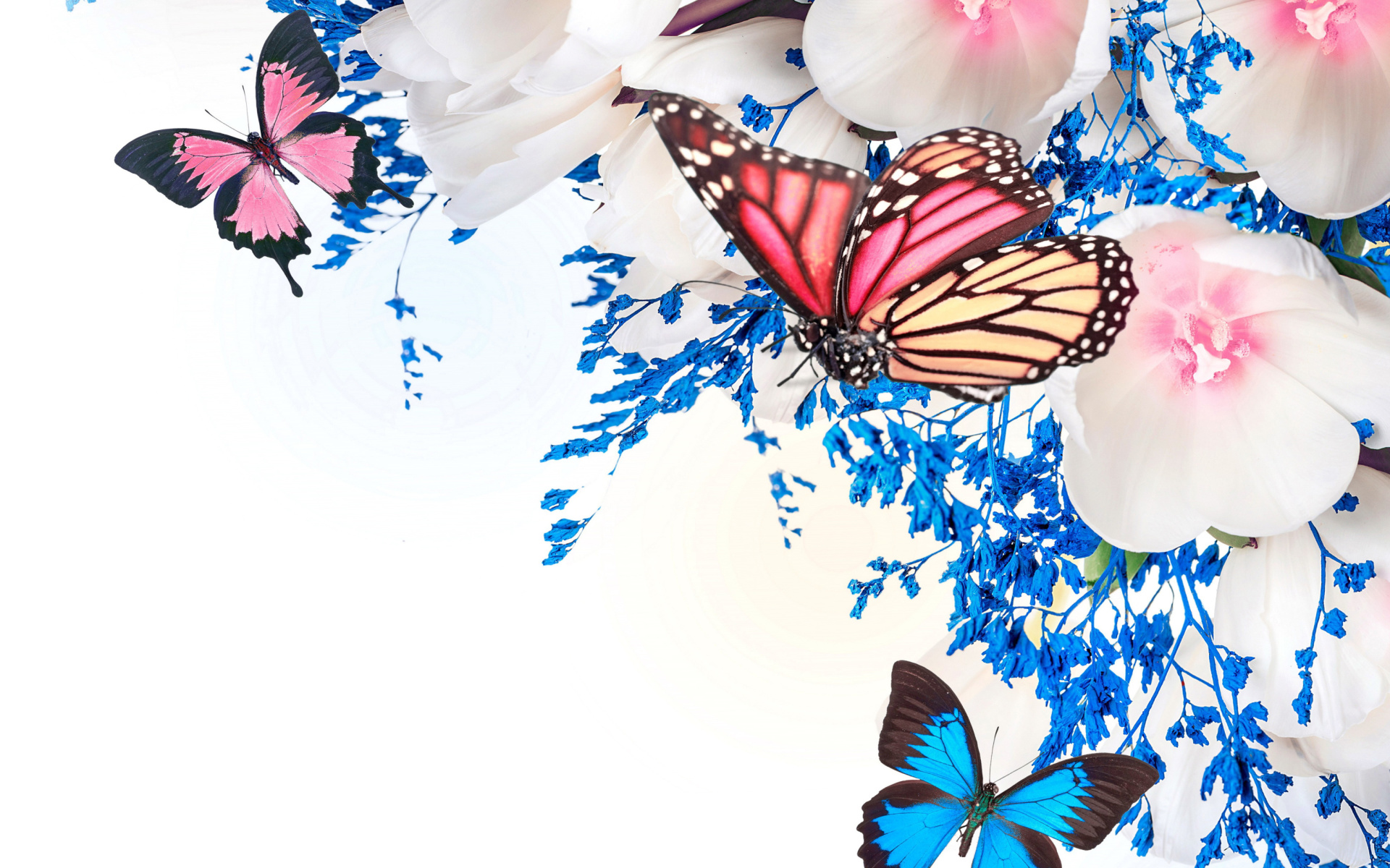 Das Spring  blossom and butterflies Wallpaper 1920x1200