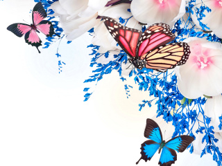 Обои Spring  blossom and butterflies 320x240