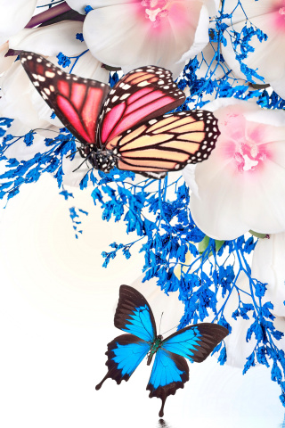 Fondo de pantalla Spring  blossom and butterflies 320x480