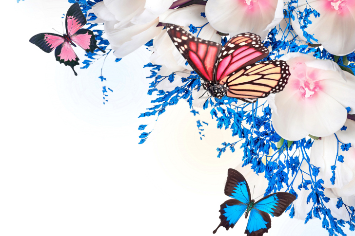 Das Spring  blossom and butterflies Wallpaper