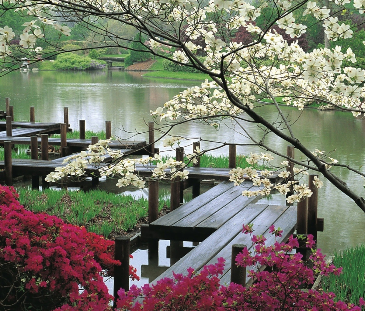 Das Japanese Garden And Lake Wallpaper 1200x1024
