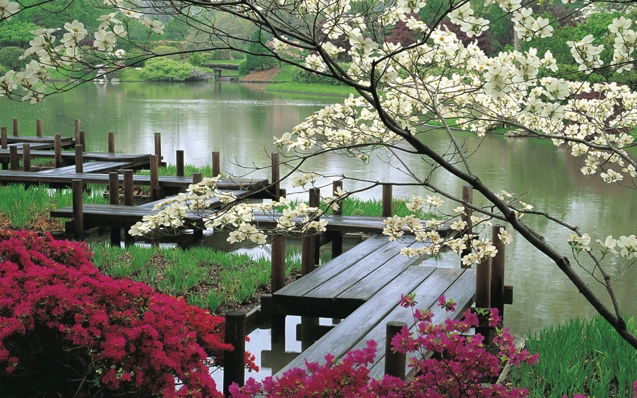 Japanese Garden And Lake screenshot #1 1280x800