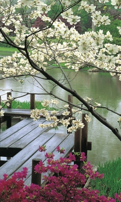 Screenshot №1 pro téma Japanese Garden And Lake 240x400