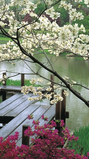 Fondo de pantalla Japanese Garden And Lake 360x640