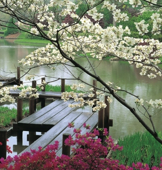Japanese Garden And Lake - Obrázkek zdarma pro 208x208