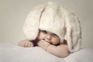 Cute Baby Bunny Picture for Android, iPhone and iPad