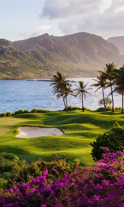 Sfondi Kauai Hawaii 480x800