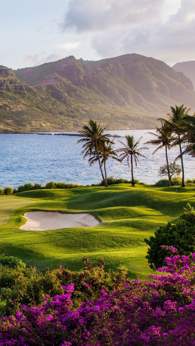 Kauai Hawaii wallpaper 640x1136