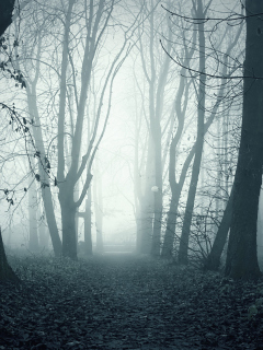 Foggy Shaded Wood wallpaper 240x320