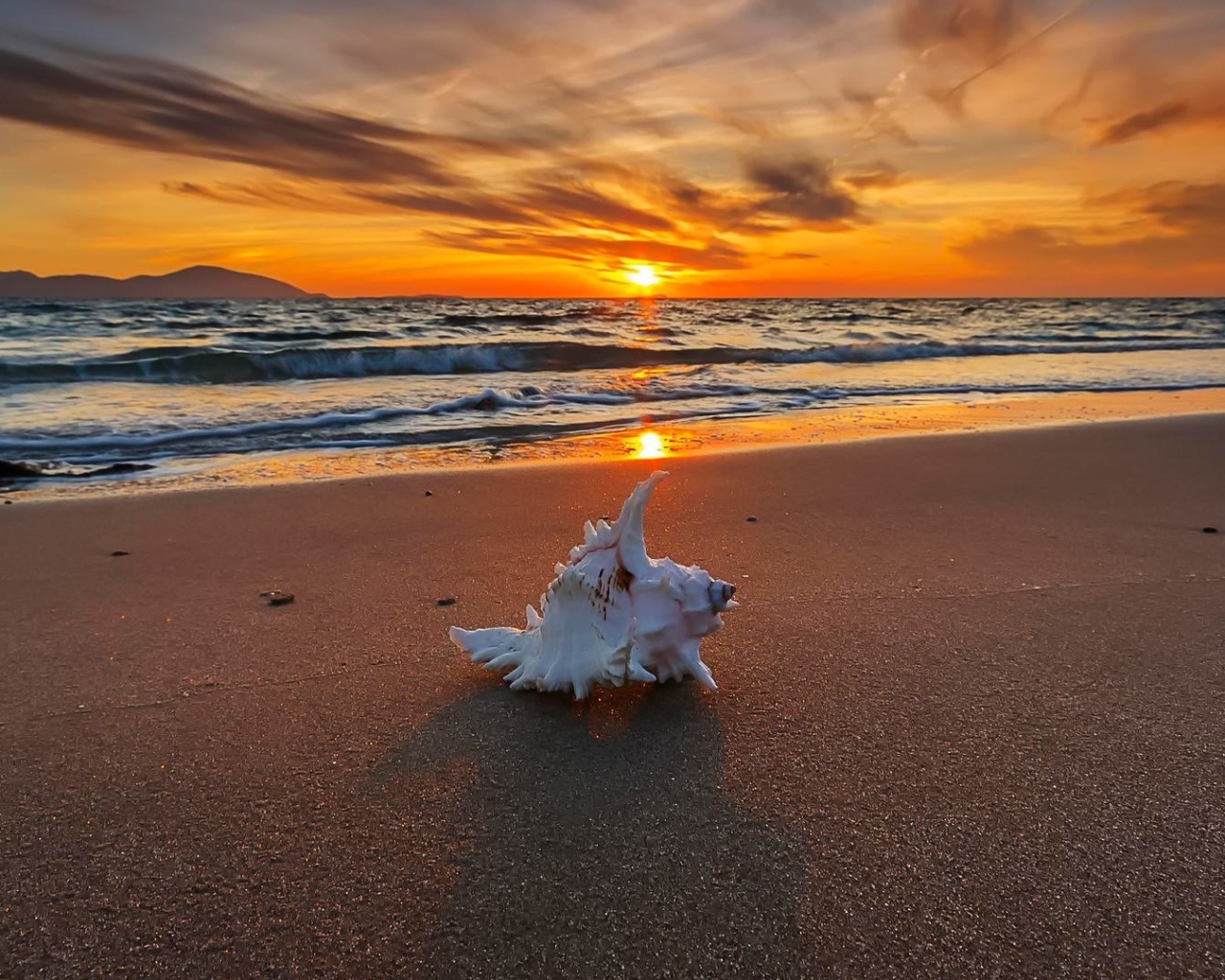 Sunset on Beach with Shell wallpaper 1280x1024