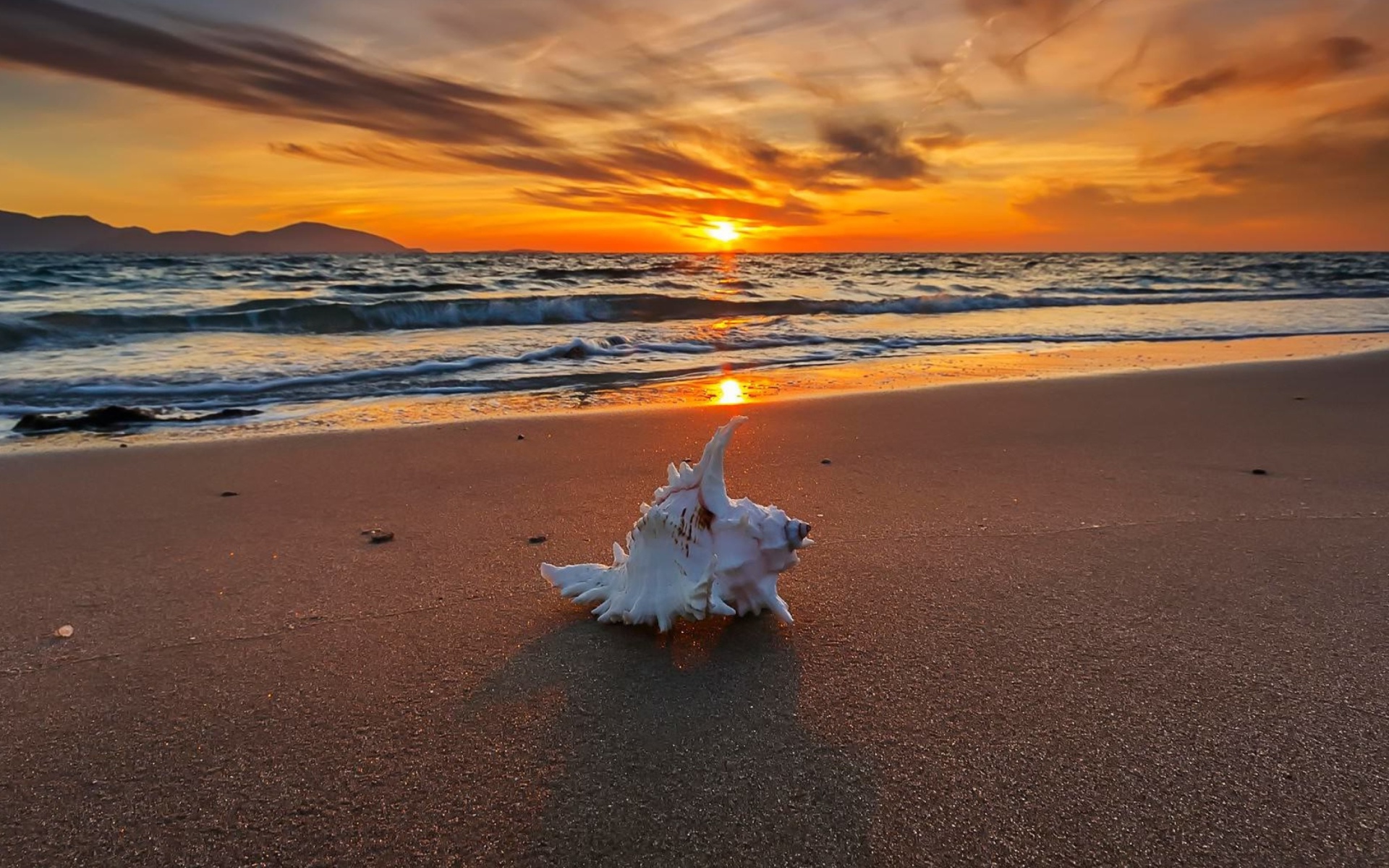 Fondo de pantalla Sunset on Beach with Shell 1920x1200