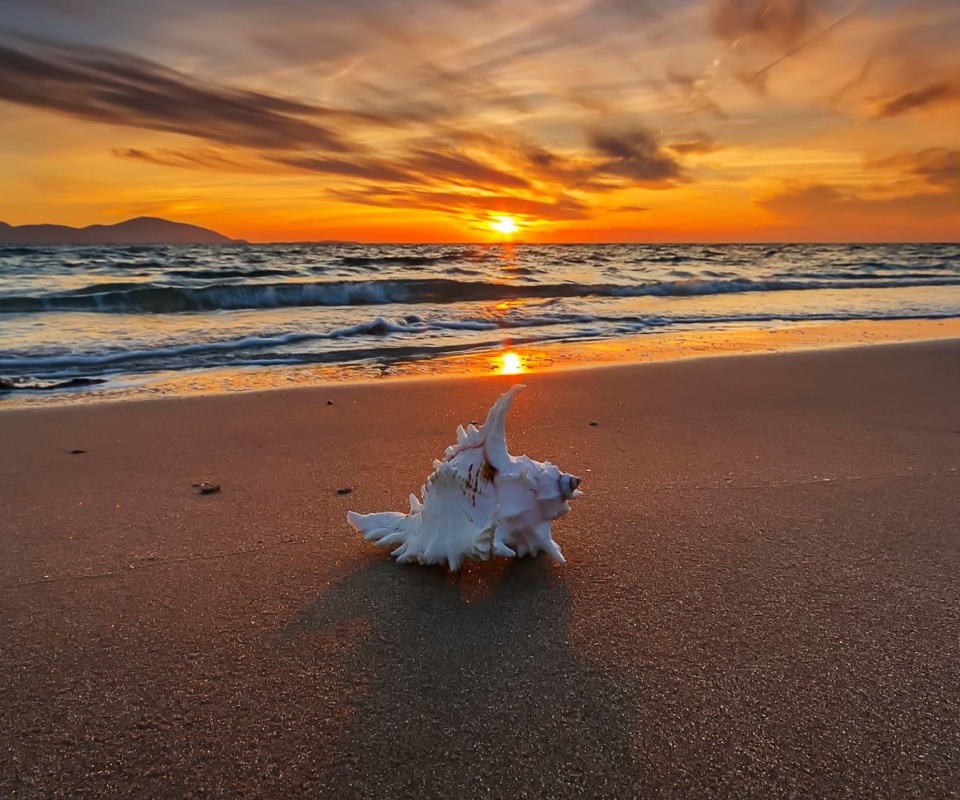 Sunset on Beach with Shell wallpaper 960x800