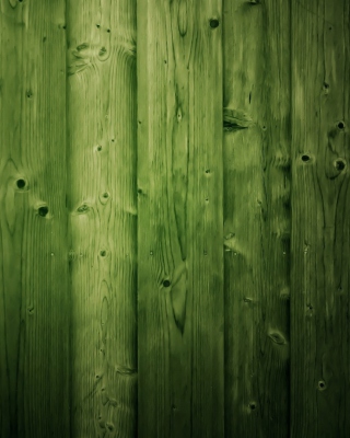 Green Wood Picture for Nokia C6