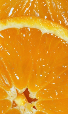 Das Orange Slices Wallpaper 240x400