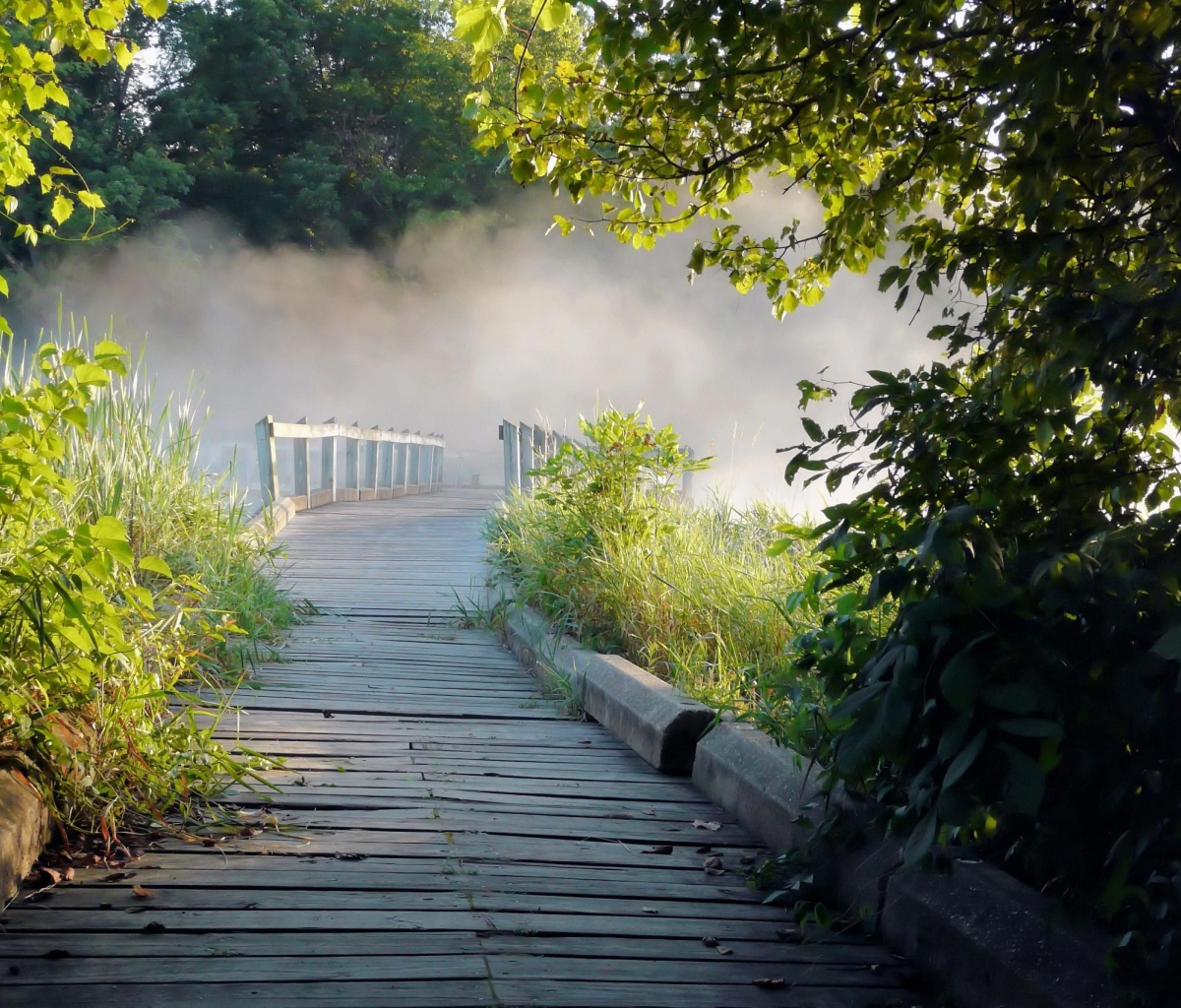 Misty path in park wallpaper 1200x1024