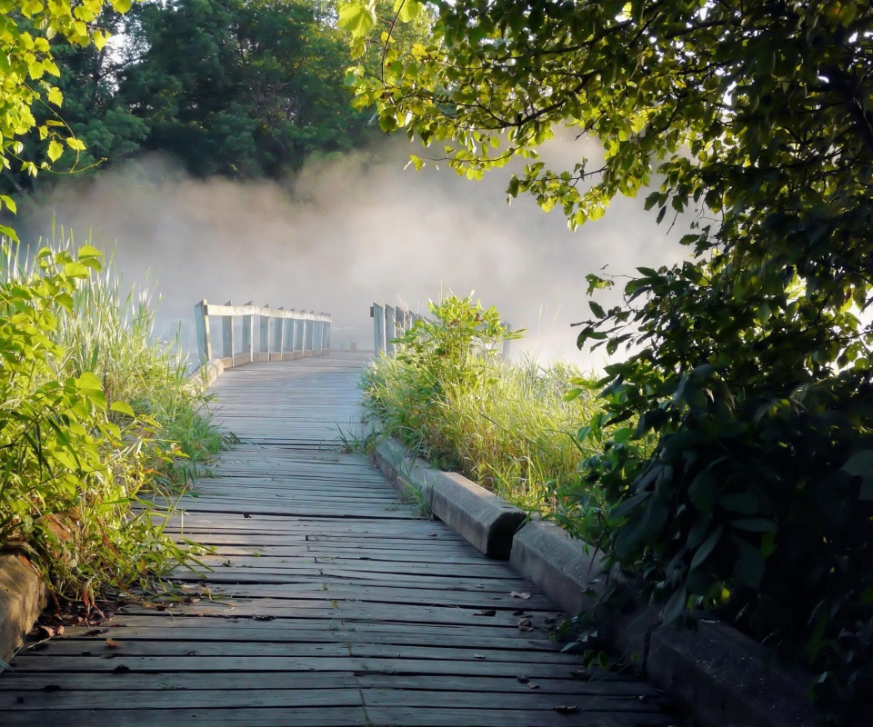 Misty path in park wallpaper 960x800