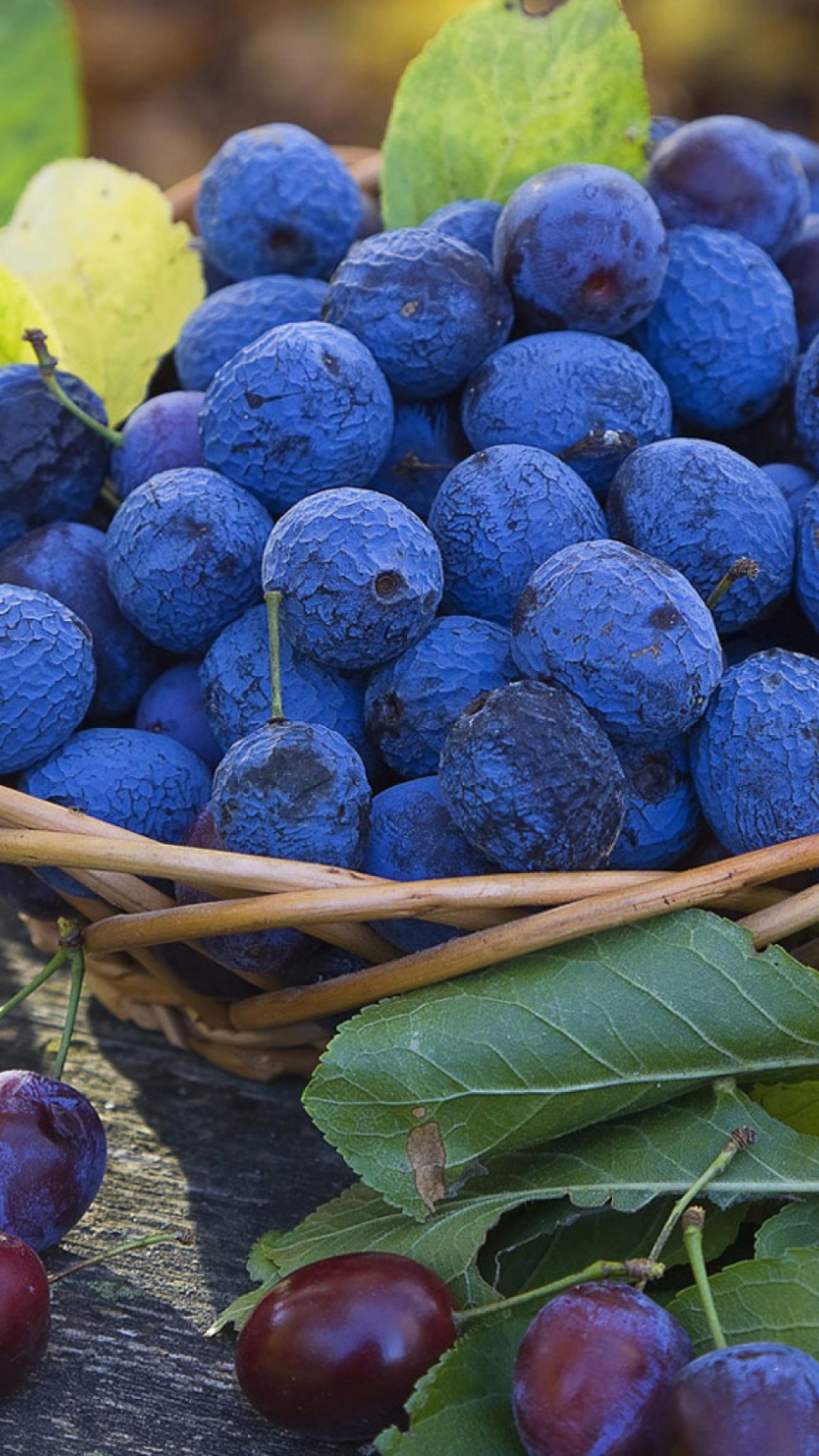 Blueberries wallpaper 1080x1920