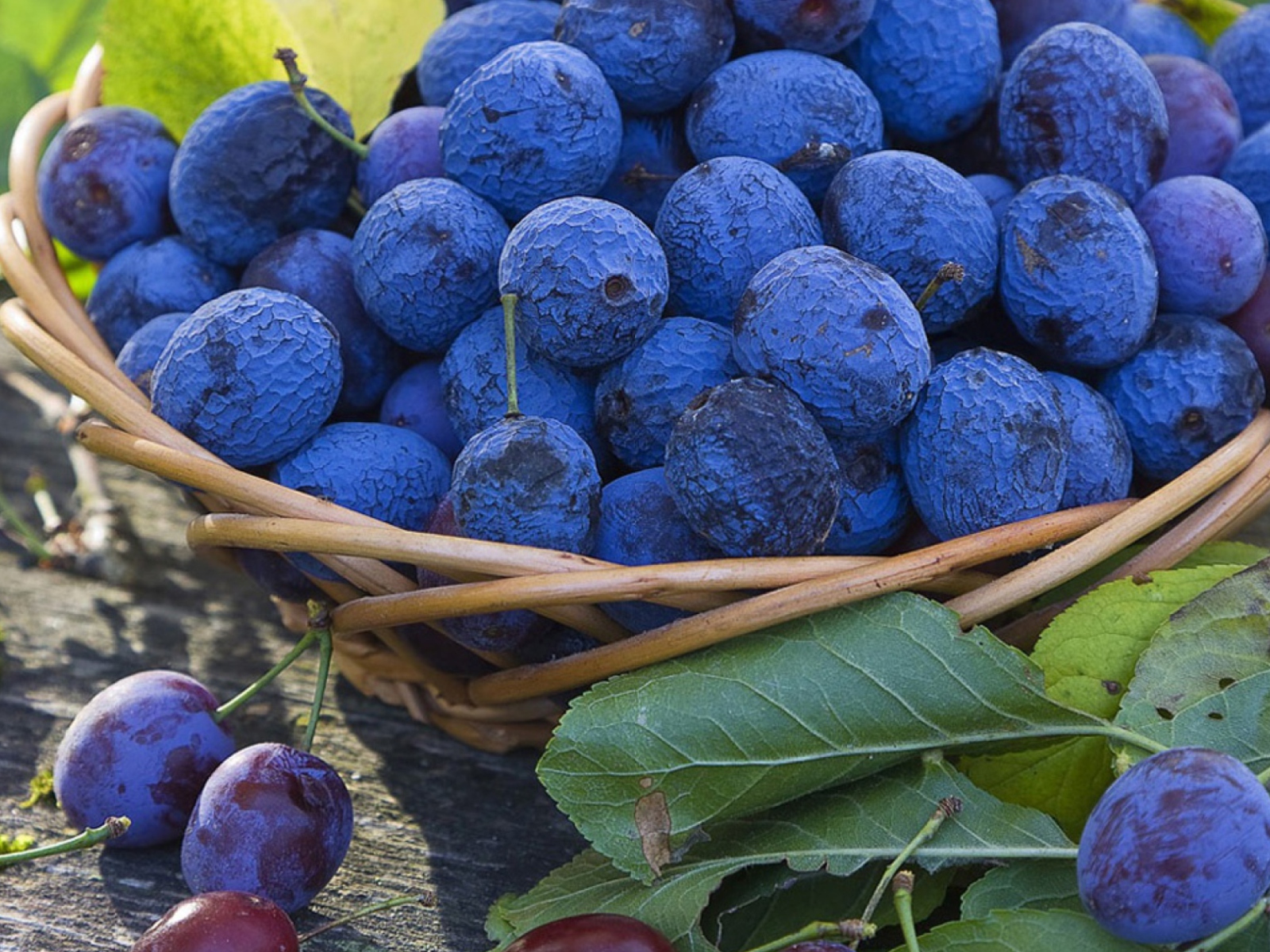 Fondo de pantalla Blueberries 1600x1200
