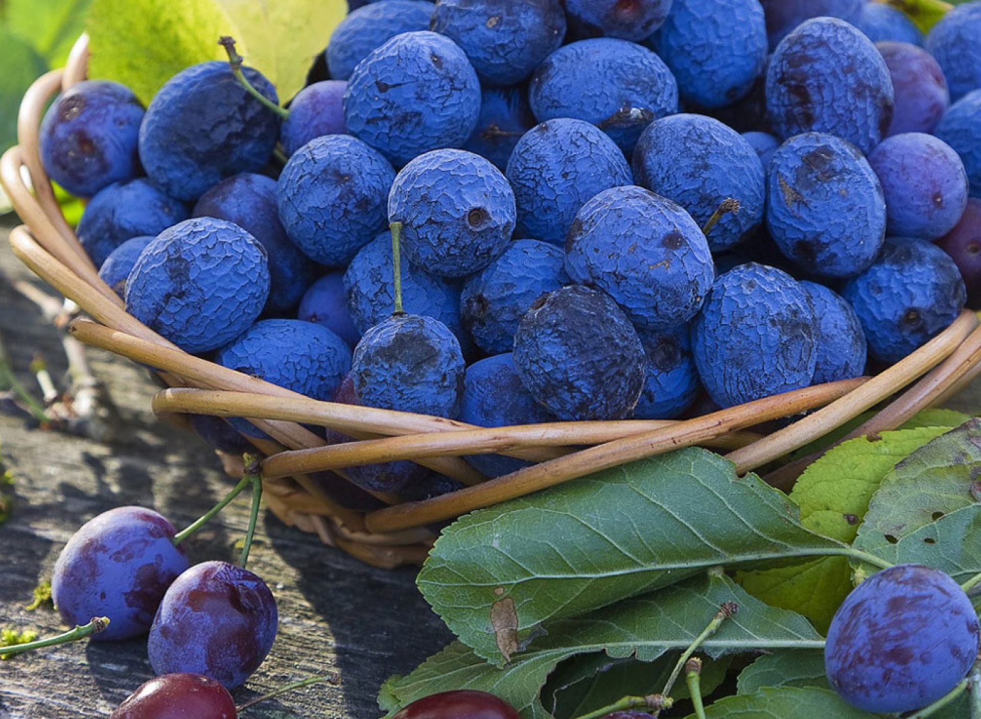 Fondo de pantalla Blueberries 1920x1408