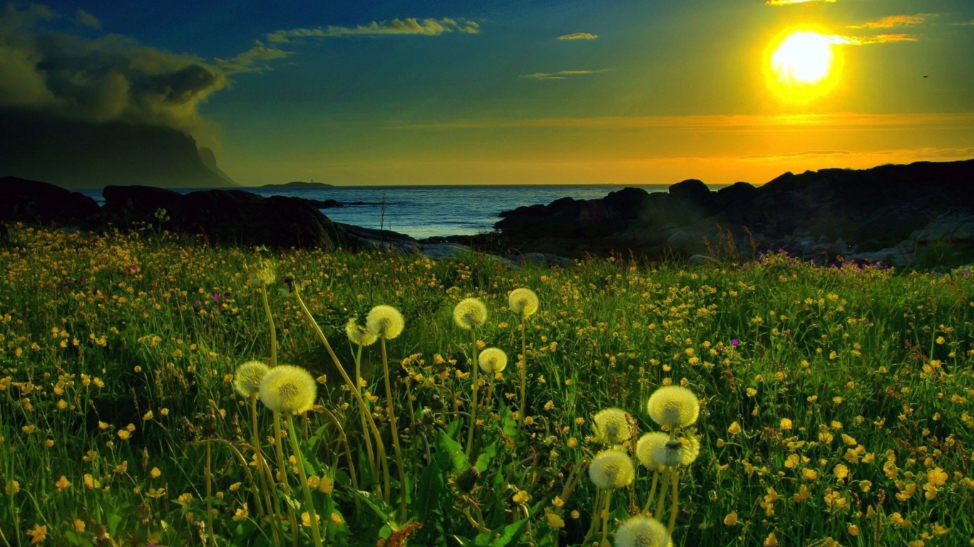 Meadow At Sunset wallpaper 1366x768