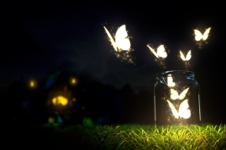 Light Butterflies - Obrázkek zdarma pro LG Optimus M