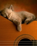 Guitar Kitten wallpaper 128x160