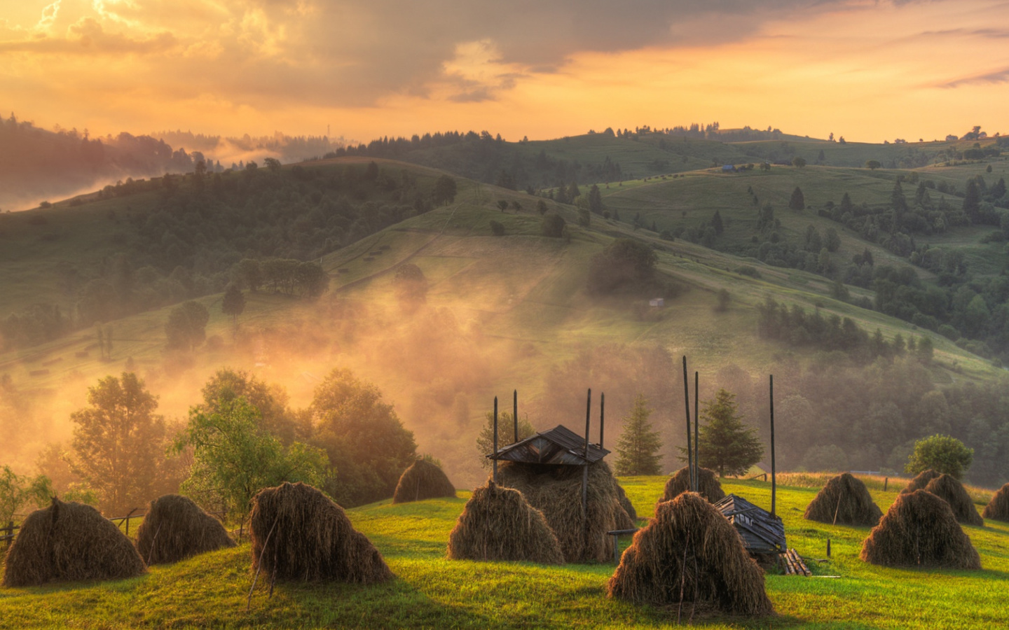 Das Autumn in Ukraine Wallpaper 1440x900