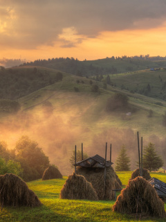 Autumn in Ukraine screenshot #1 240x320