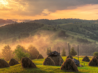 Autumn in Ukraine screenshot #1 320x240