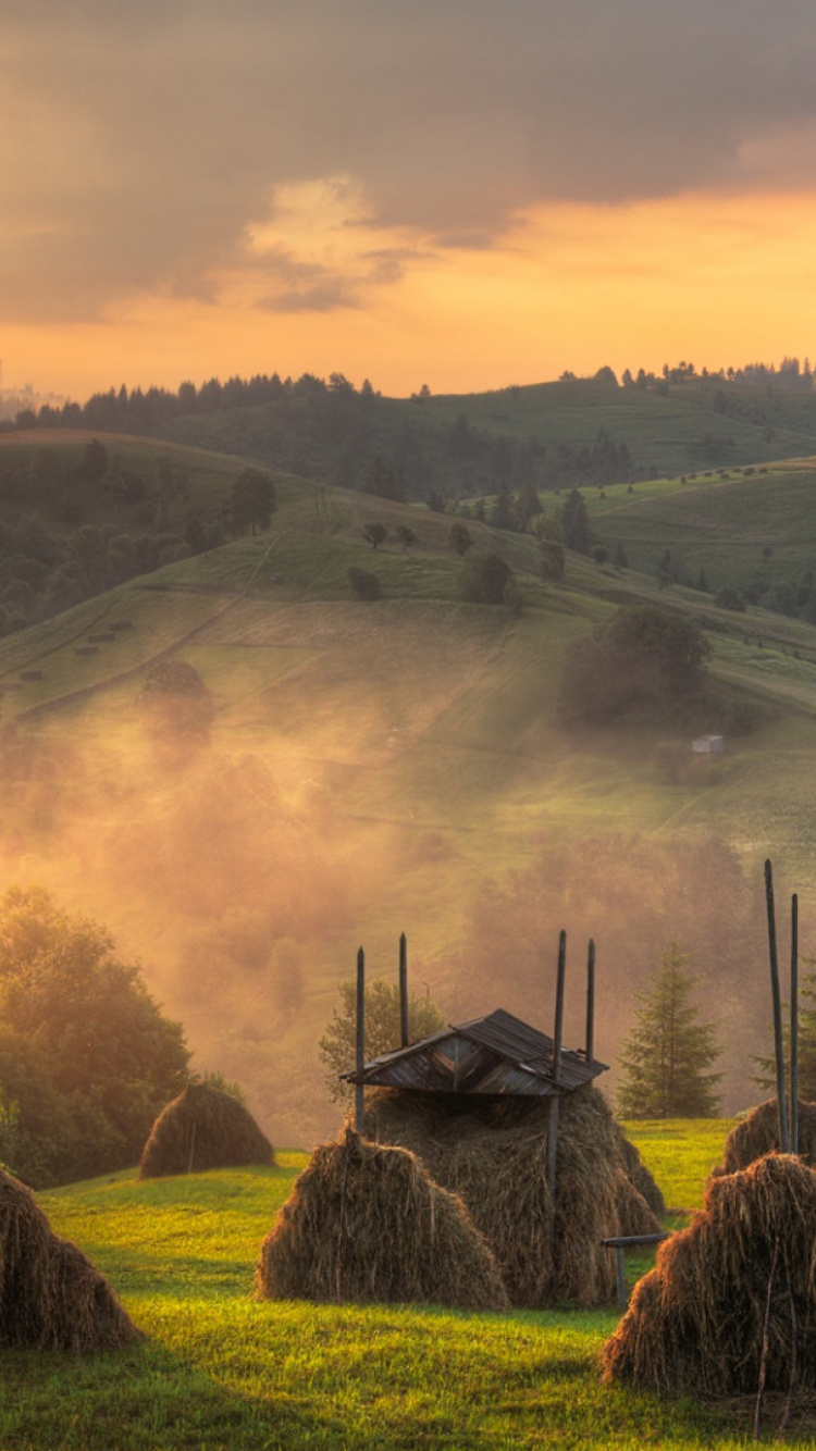 Sfondi Autumn in Ukraine 750x1334